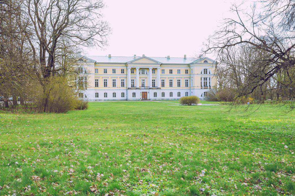 Mezotne Palace