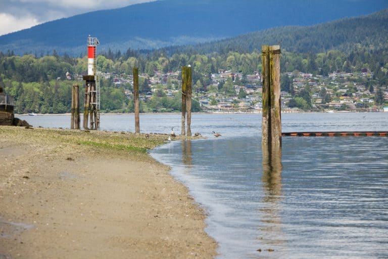 15 Best Things to Do in Burnaby (Brits-Columbia, Canada) - The Crazy