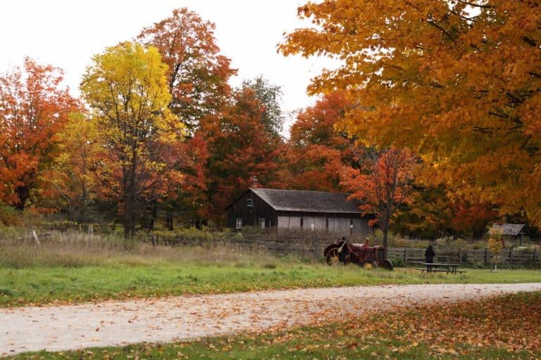 15 Best Things to Do in Oakville (Ontario, Canada) The Crazy Tourist