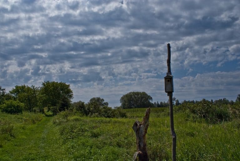 15 Best Things to Do in Oshawa (Ontario, Canada) The Crazy Tourist