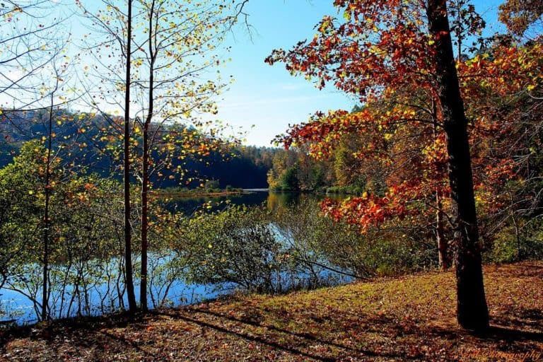 15 Best Lakes in Alabama The Crazy Tourist