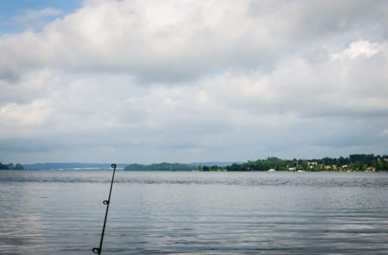 15 Best Lakes in Alabama The Crazy Tourist