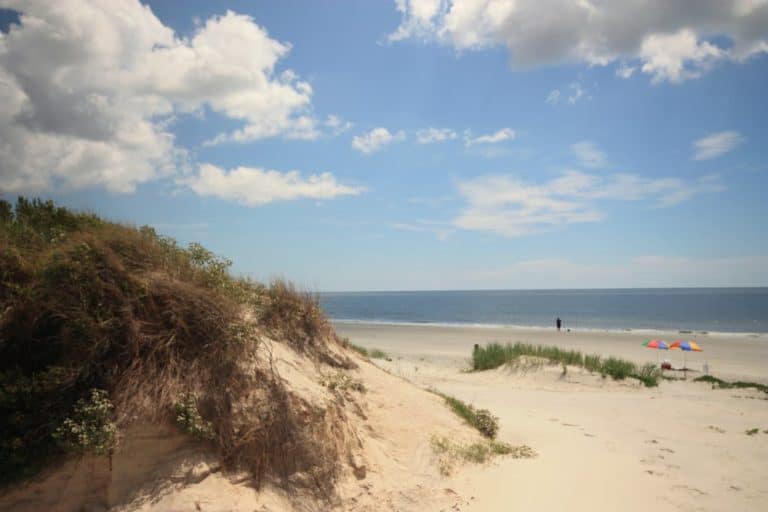15 Best Beaches in Georgia (US) - The Crazy Tourist