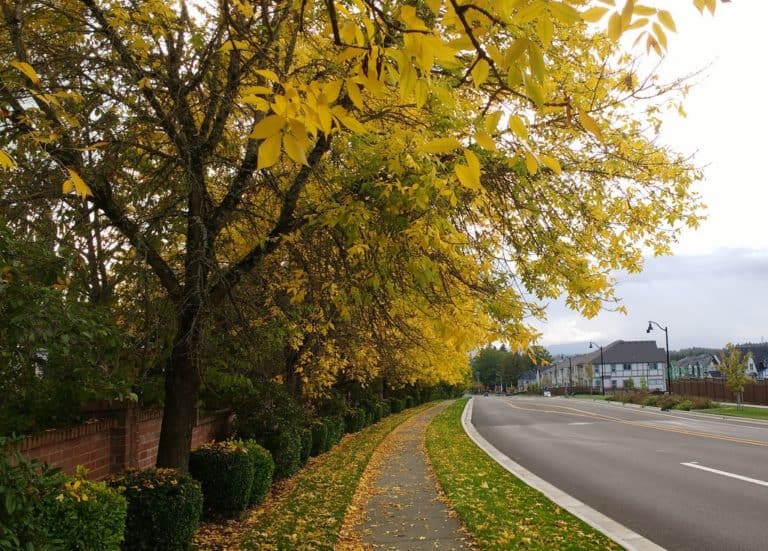 15 Best Places to Live in Oregon The Crazy Tourist