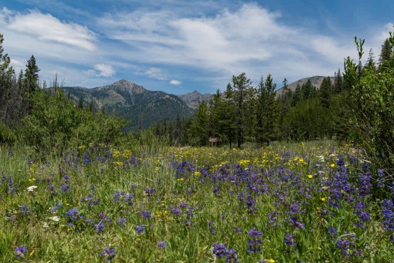 15 Best Places to Live Idaho The Crazy Tourist