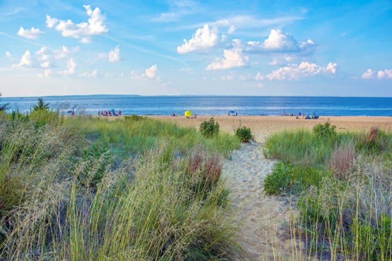 15 Best Beaches in New Jersey (NJ) The Crazy Tourist