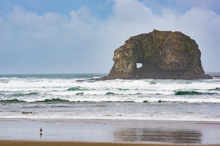 15 Best Beaches in Oregon The Crazy Tourist