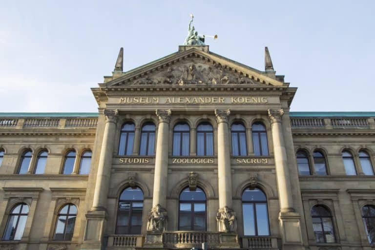 15 Best Things to Do in Bonn (Germany) The Crazy Tourist