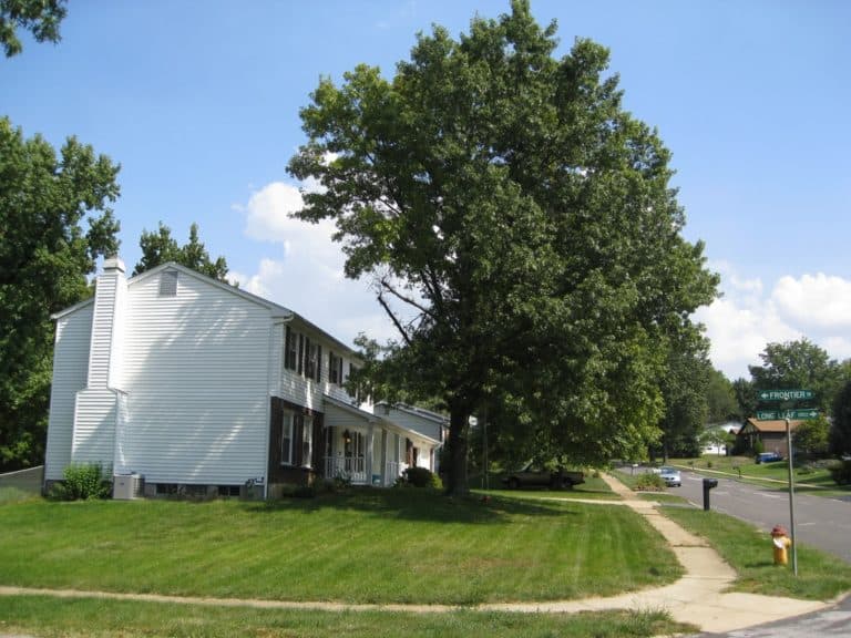 15 Best Places to Live in Missouri The Crazy Tourist