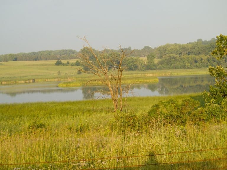 15 Best Places to Live in Minnesota The Crazy Tourist