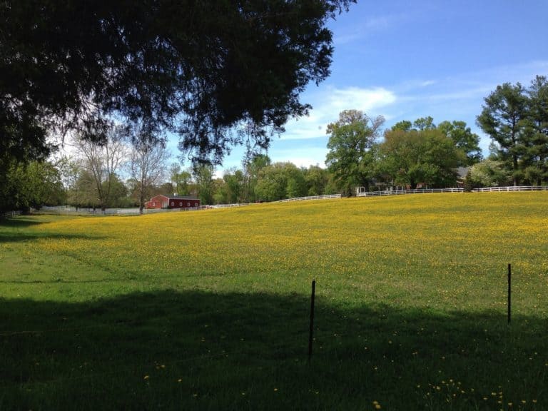 15 Best Places to Live in Maryland The Crazy Tourist