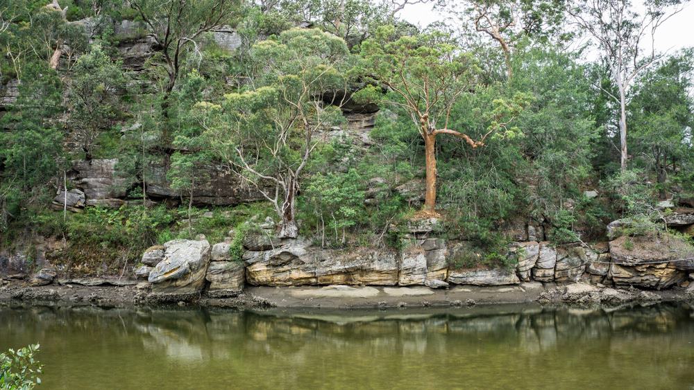 Ku-ring-gai Chase National Park