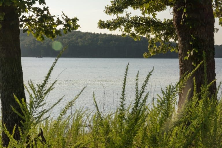 15 Best Lakes in Arkansas The Crazy Tourist