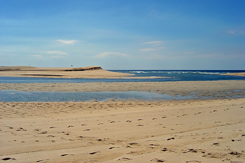 Reserva Natural Das Lagoas De Santo André E Da Sancha