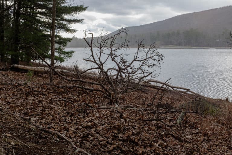 15 Best Lakes in West Virginia The Crazy Tourist