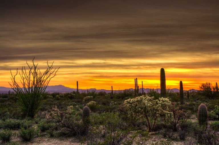 15 Best Day Trips from Phoenix The Crazy Tourist