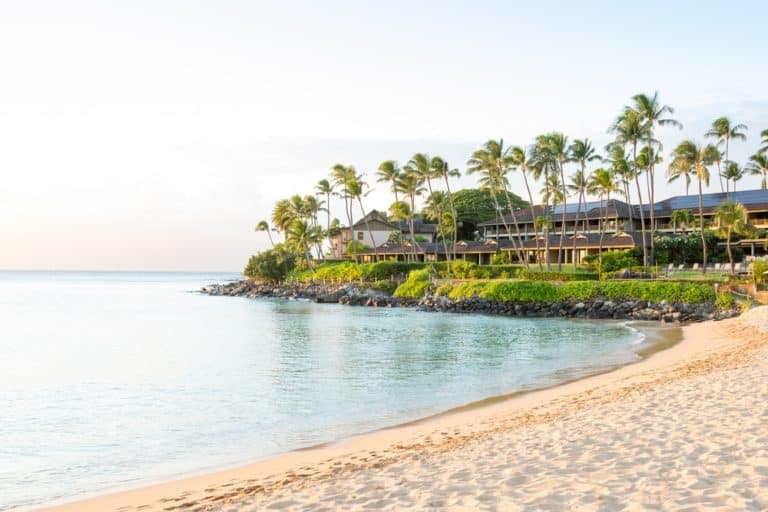 Where to Stay in Maui The Crazy Tourist