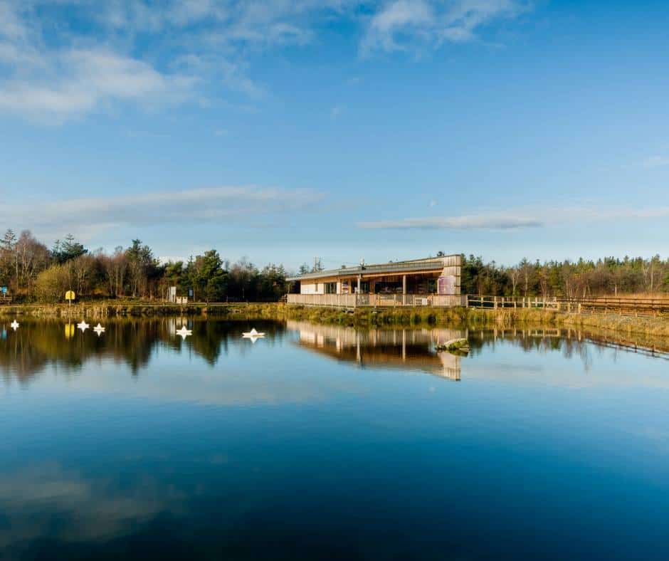 Lough Boora Discovery Park