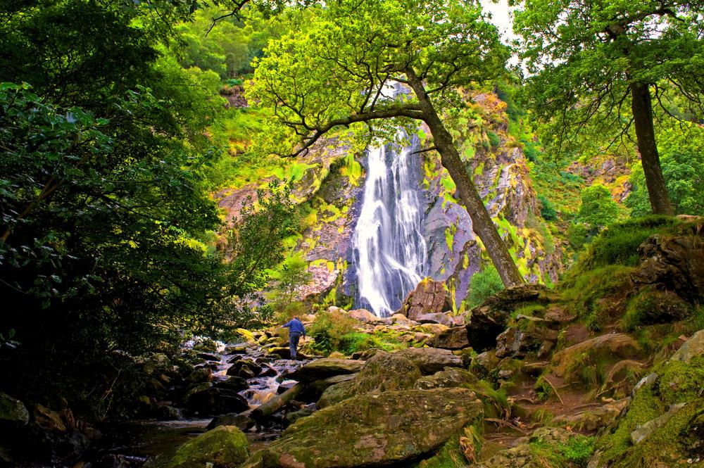 Powerscourt Waterfall