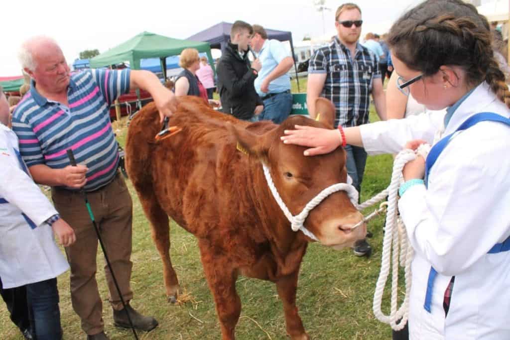Tullamore Show