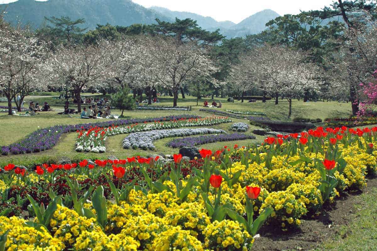 15 Best Things to Do in Beppu (Japan) The Crazy Tourist