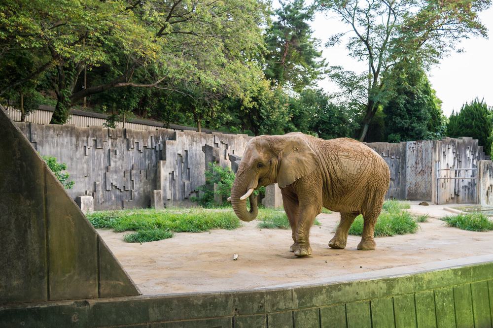 Higashiyama Zoo