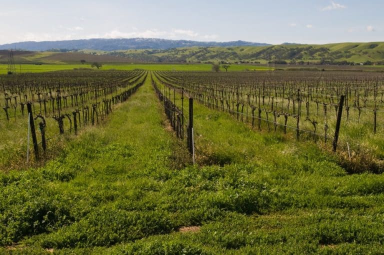 15 Best Day Trips From San Jose Ca The Crazy Tourist