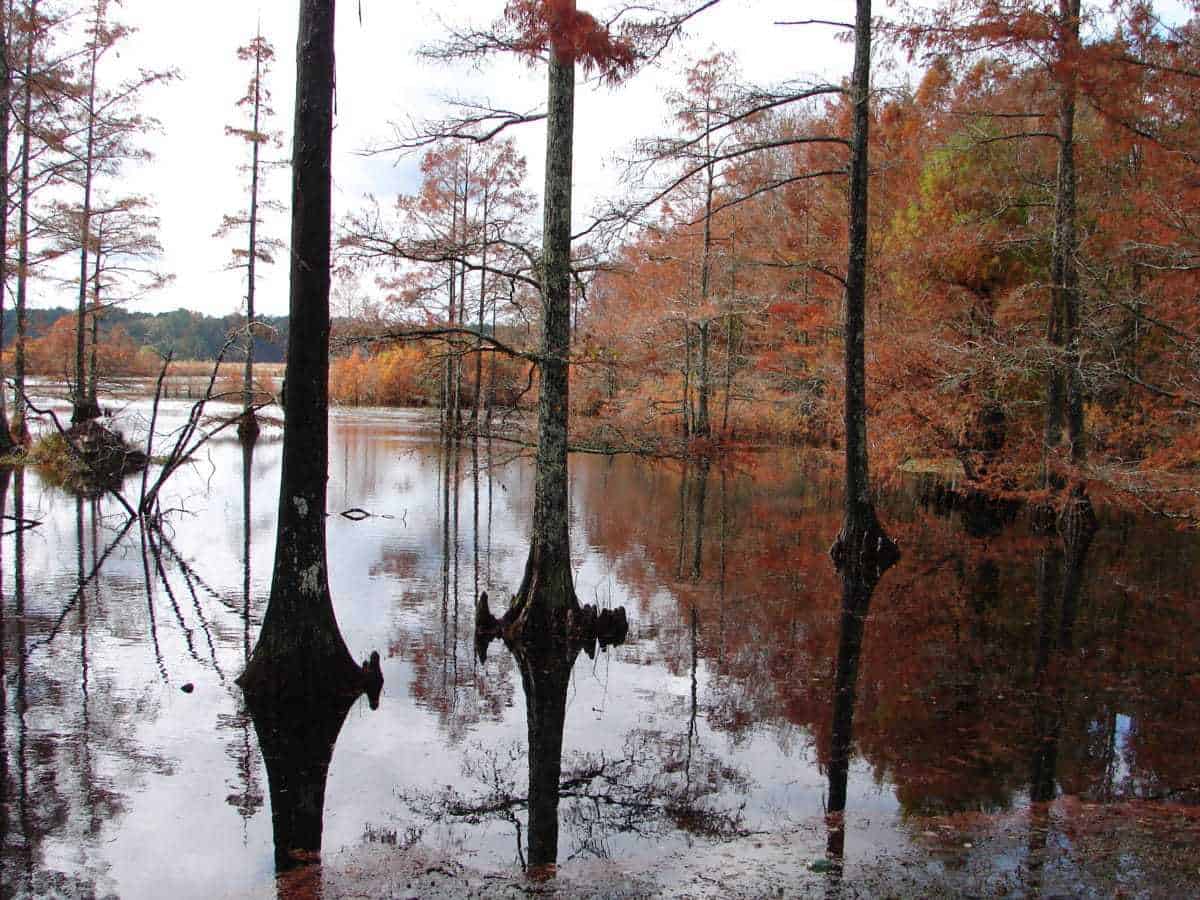 21 Most Beautiful Places to Visit in Mississippi The Crazy Tourist
