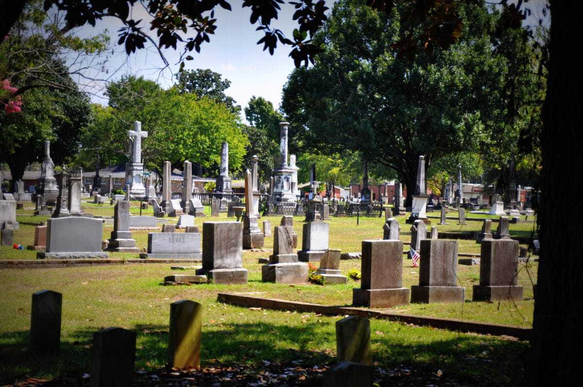 Los 21 Lugares más hermosos para visitar en Mississippi Lost World