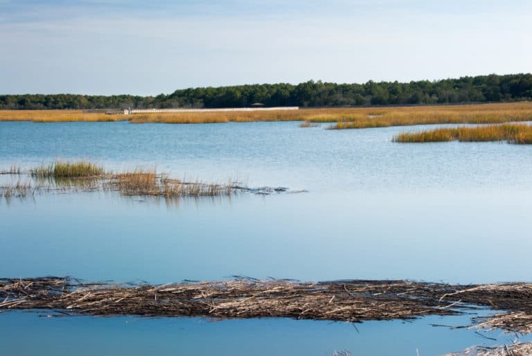 17 Most Beautiful Places to Visit in South Carolina The Crazy Tourist