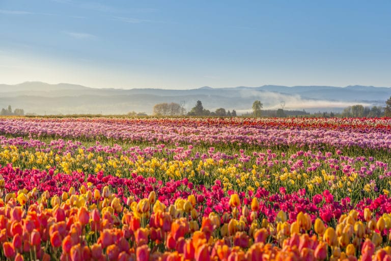19 Most Beautiful Places to Visit in Oregon The Crazy Tourist