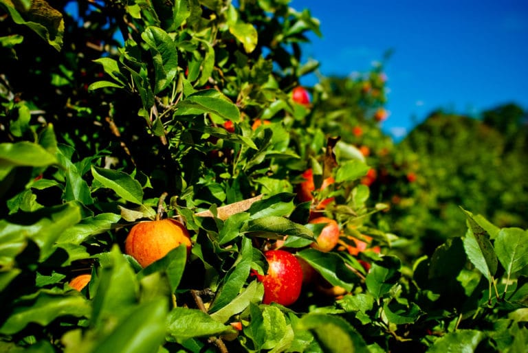 25 Best Things to Do in Rhode Island The Crazy Tourist