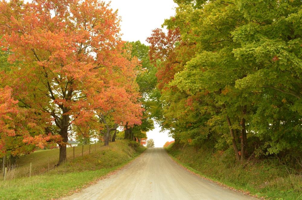Ohio Backroad
