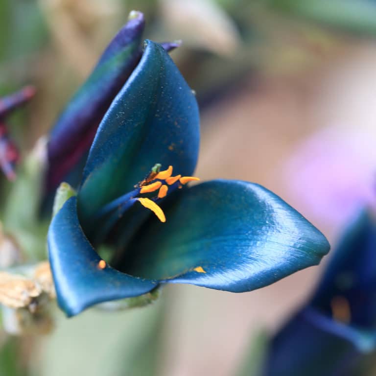 15 Best Things to Do in Penzance (Cornwall, England) The Crazy Tourist