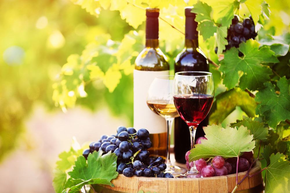 Wine and Grapes