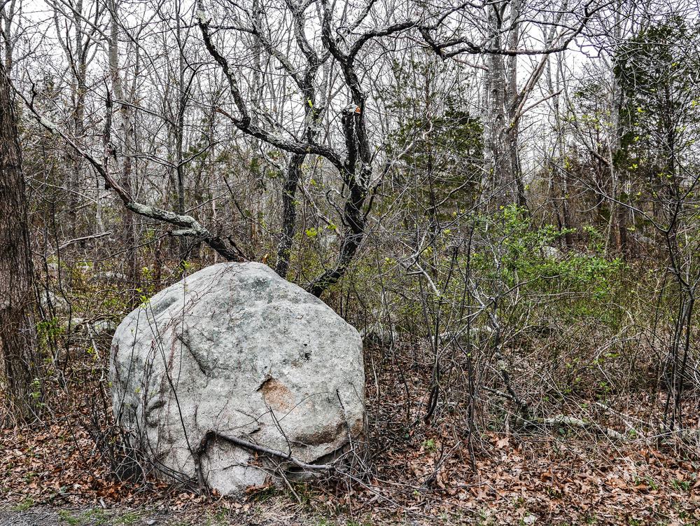 Dogtown & Babson Boulder Trail