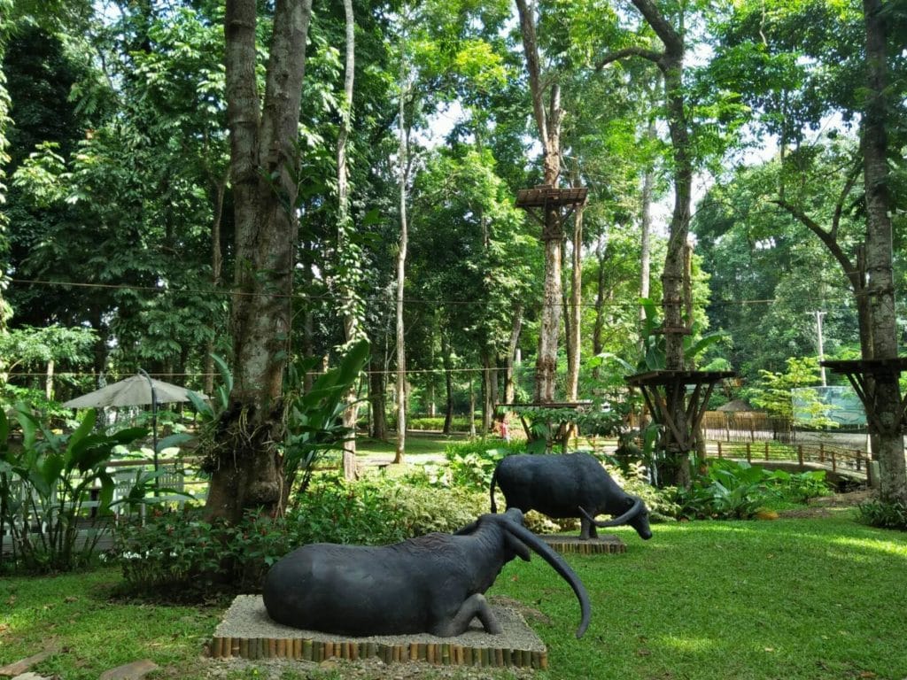 Green Jungle Park, Luang Prabang
