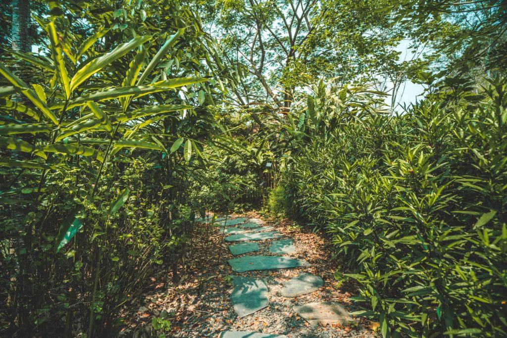 Pha Tad Ke Botanical Garden