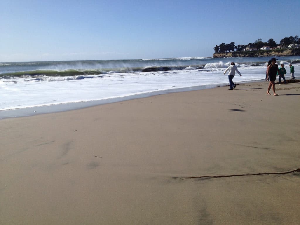Cowell's Beach