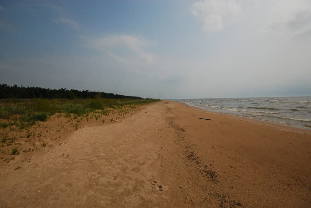 Point Beach State Forest, Wisconsin