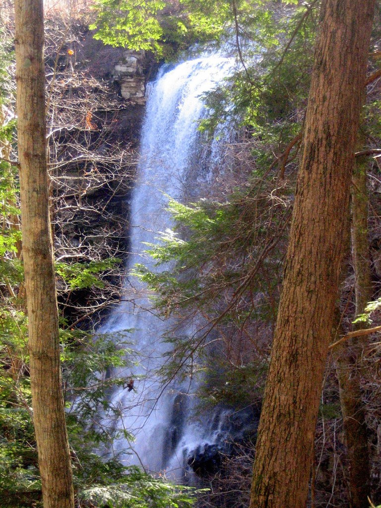 12 Amazing Waterfalls in Florida The Crazy Tourist