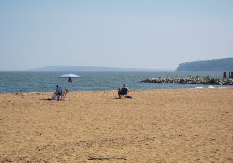 15 Best Beaches In Maryland The Crazy Tourist