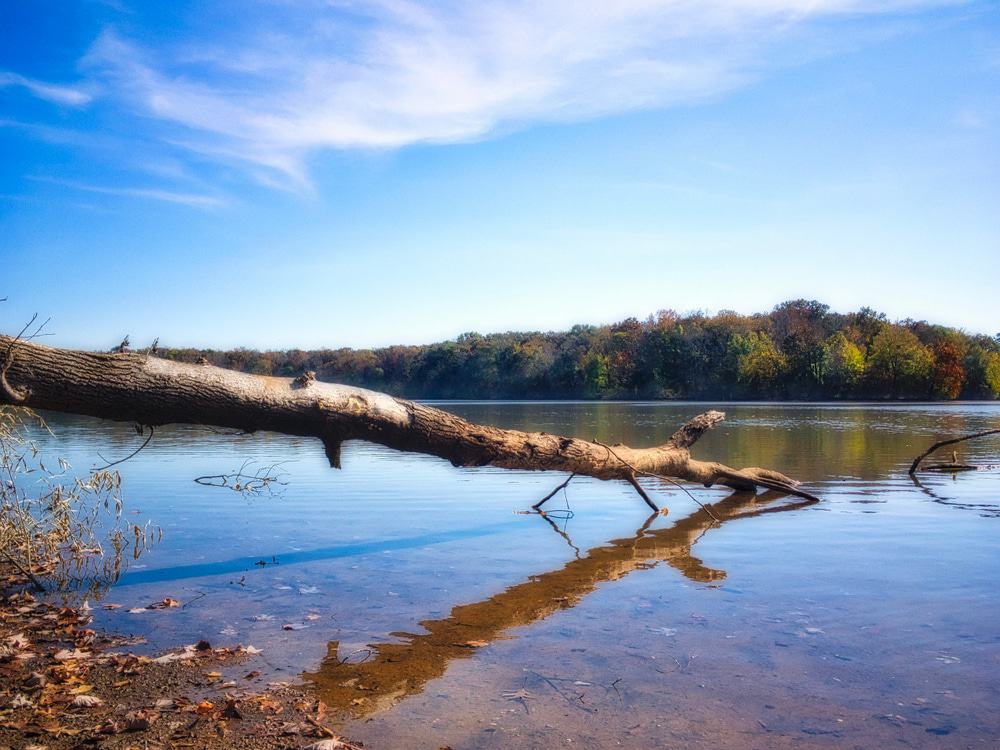 15 Best Things to Do in Florence, Alabama The Crazy Tourist