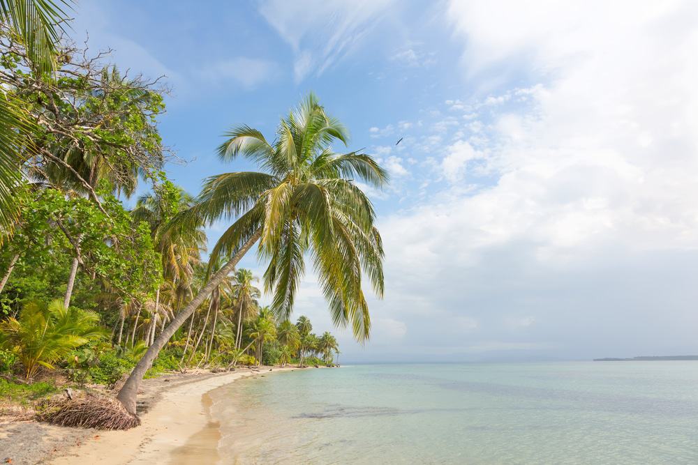 Playa Estrella, Isla Colon, Panama