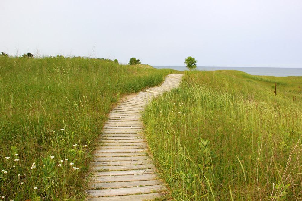 Kohler-Andrae State Park