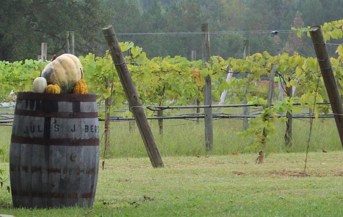 15 Best Things to Do in Albertville (AL) The Crazy Tourist