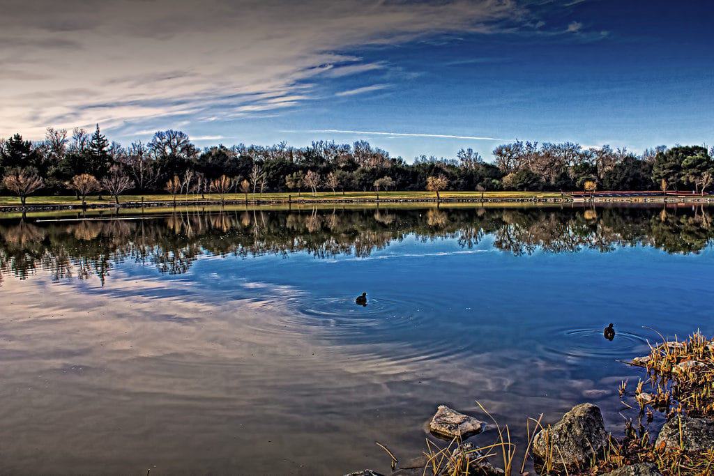 Cottonwood Lake, San Jose