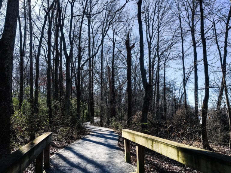 15 Best Things to Do in Hartselle (AL) The Crazy Tourist