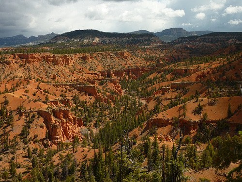 The Cassidy Trail, Panguitch