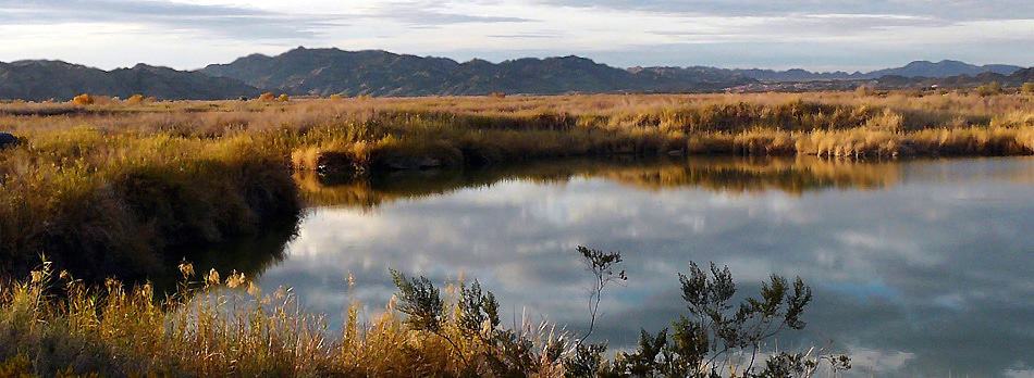 Imperial National Wildlife Refuge